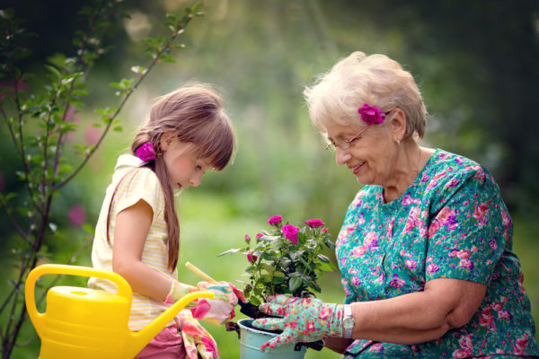 chiropractic-care-for-grandparents-image